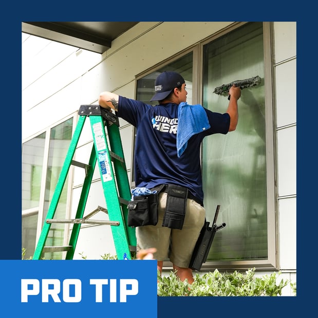 Images Window Hero Charlotte