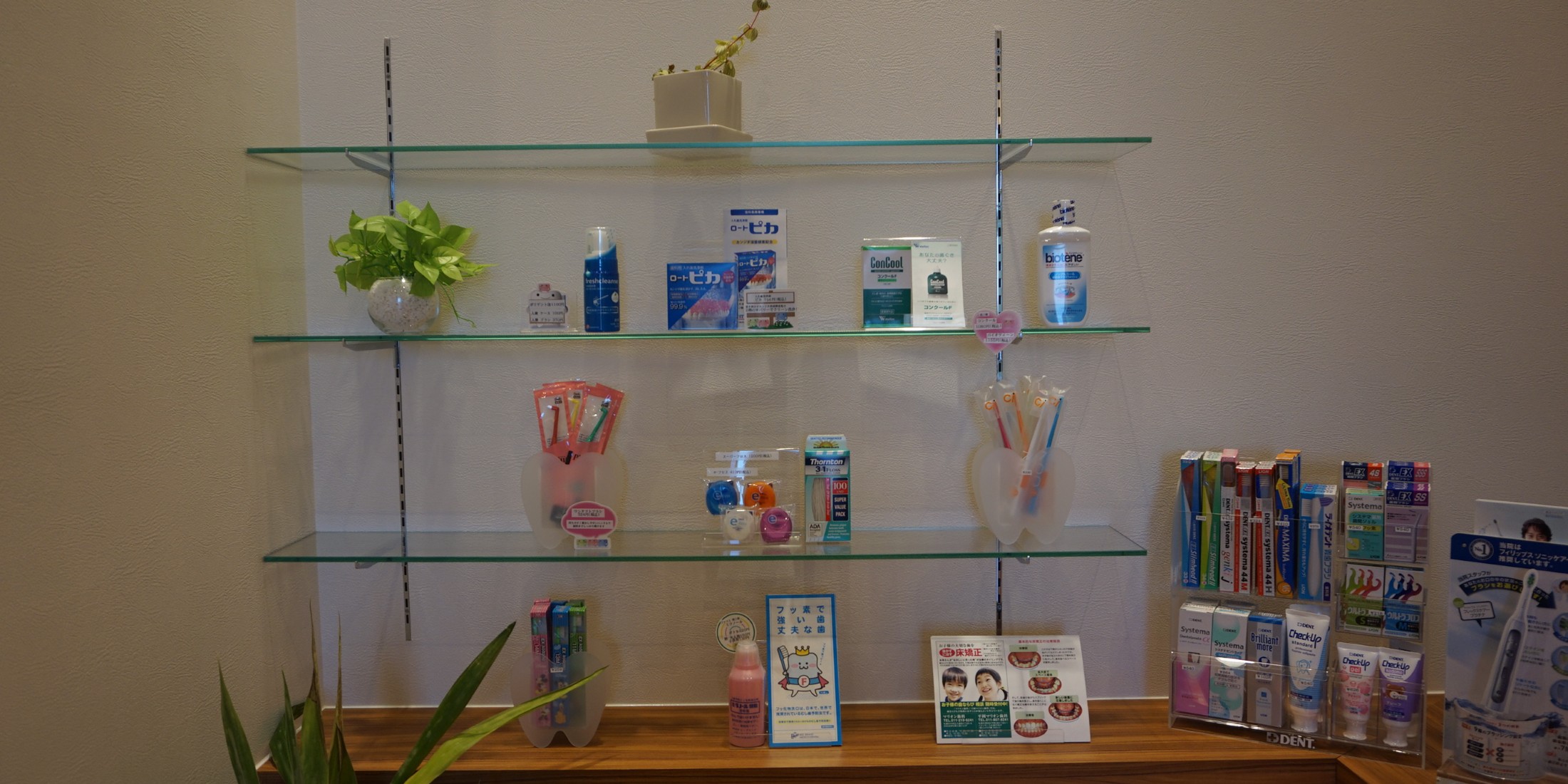 Images 平岡マリオン歯科