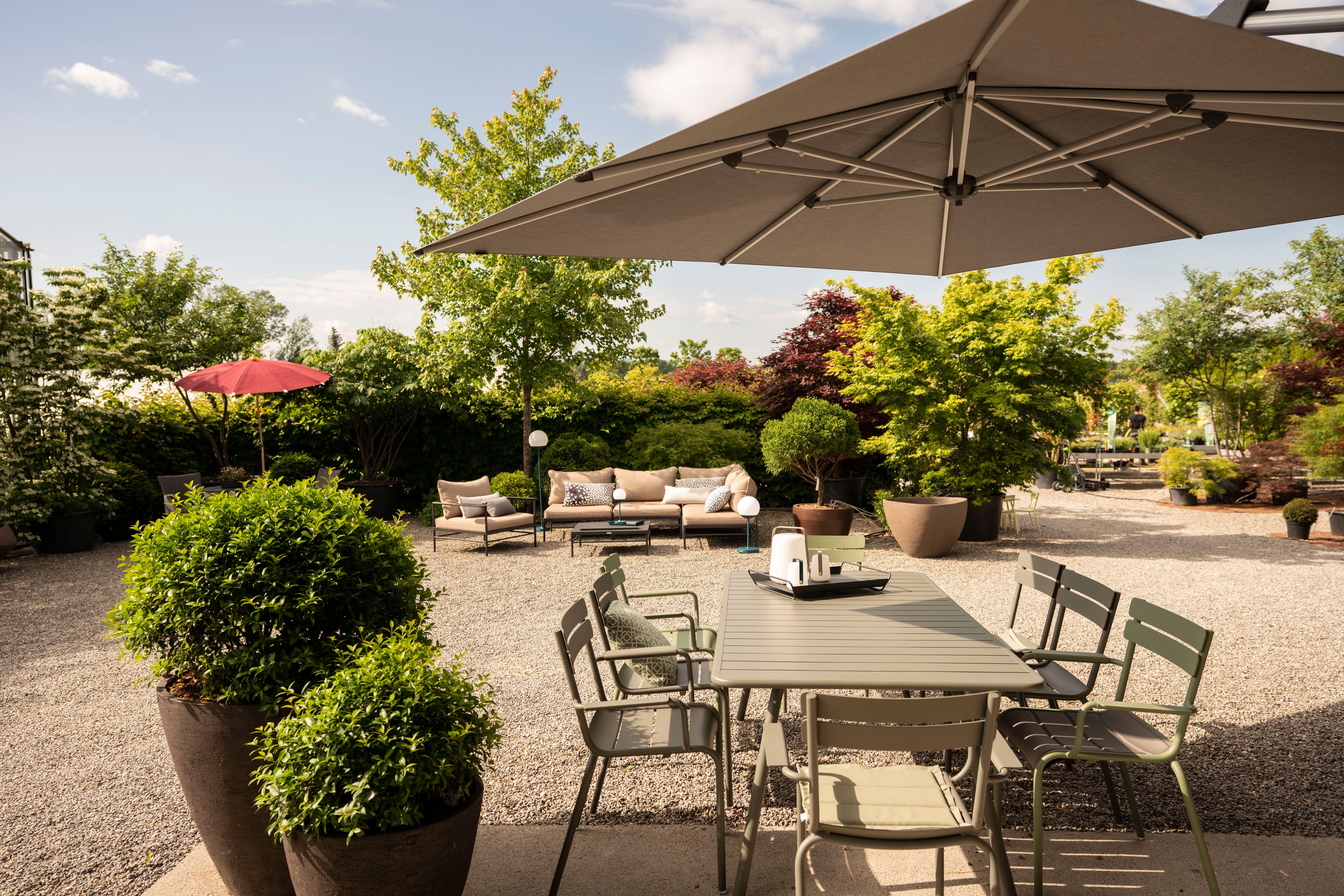 Bilder wüthrich pflanzen ag