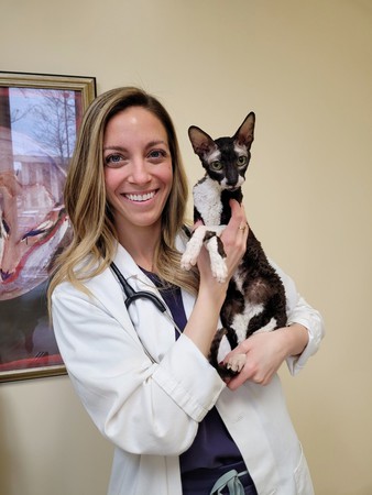 Images VCA SouthPaws Veterinary Specialists & Emergency Center