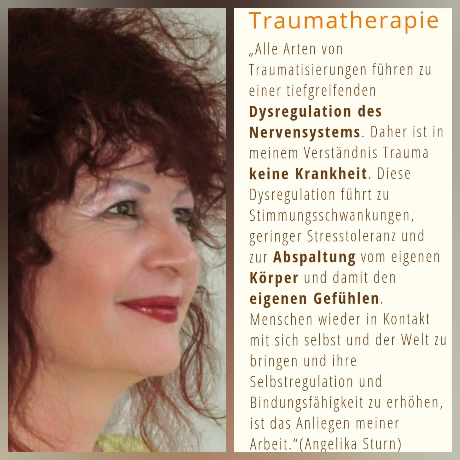 Psychotherapie - Traumatherapie & Supervision Angelika Sturn, Wehlistraße 244/5/22 in Wien