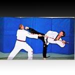 Images Chang Lee's Academy of Korean Martial Arts - Taekwondo
