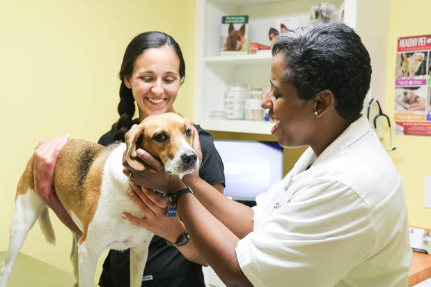 Images The Animal Hospital of North Charleston