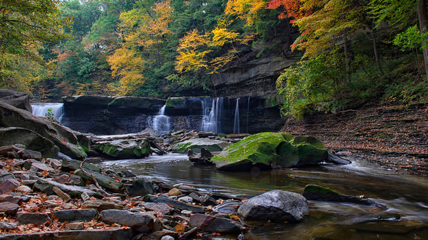 Images Next Page Mediation