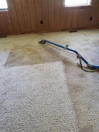 Images Allen's Carpet Care Plus
