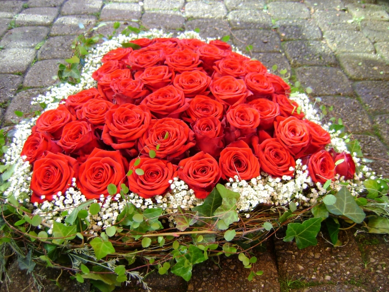 Bestattungsdienst Zuber GmbH, Rossmarktplatz 4 in Solothurn