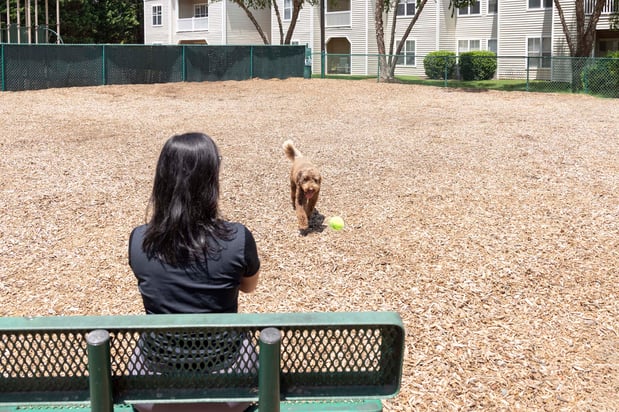 Images Camden Westwood Apartments