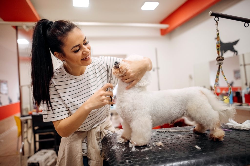 Durable, ergonomic grooming shears made for pet pros who care.