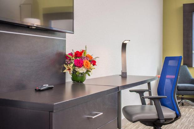 Images Holiday Inn Express & Suites Tampa North - Wesley Chapel by IHG