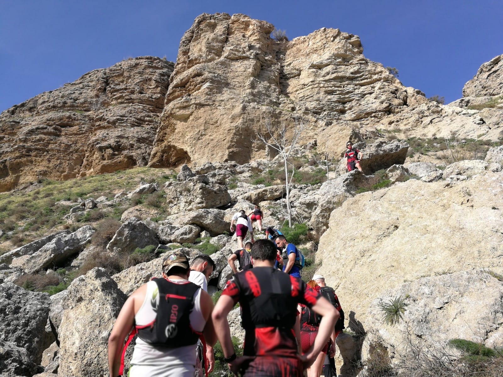 Images Brave Bulls Training