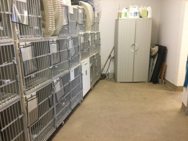 Images Petco Grooming