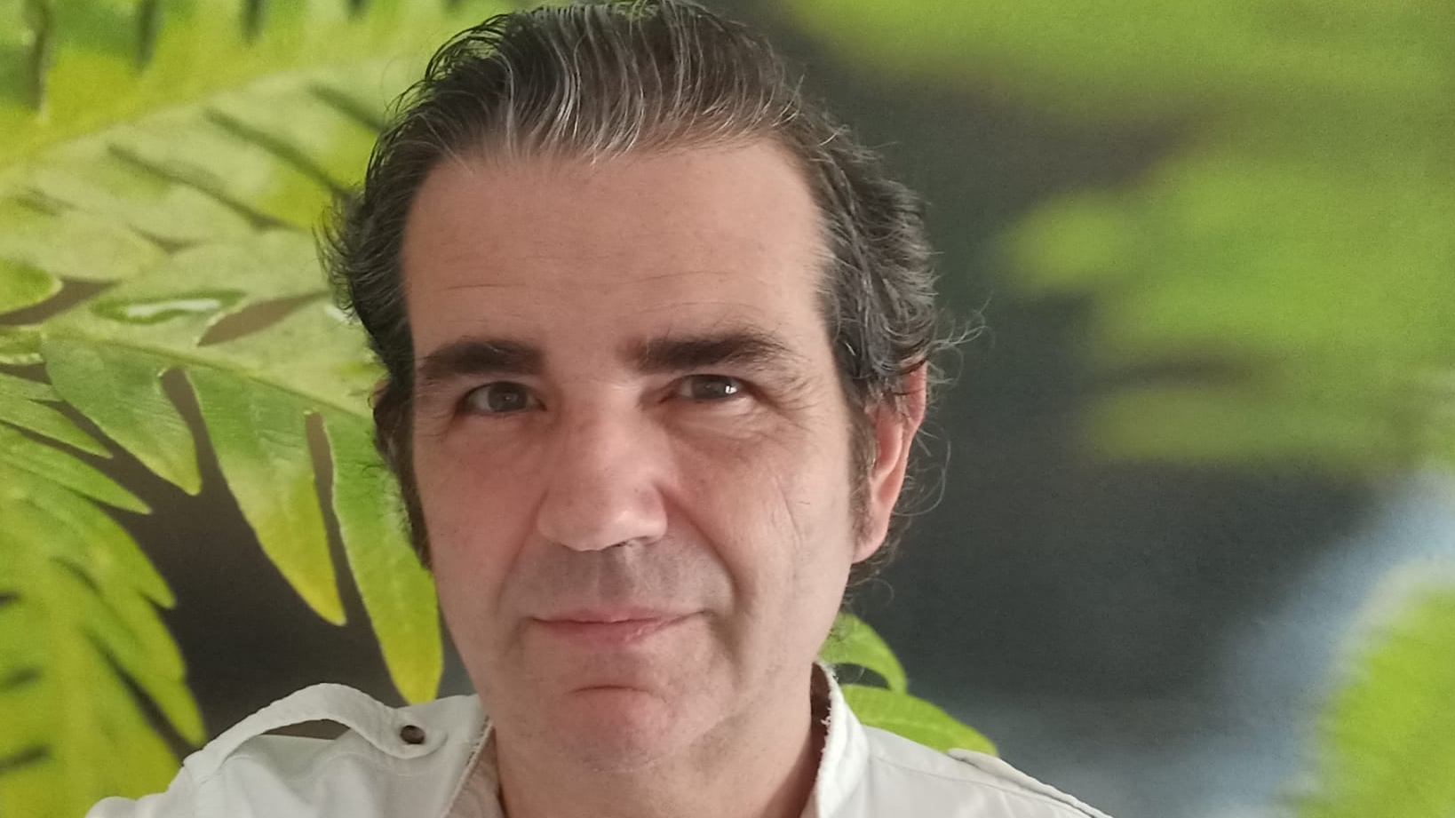 Images ArtistAlfredo