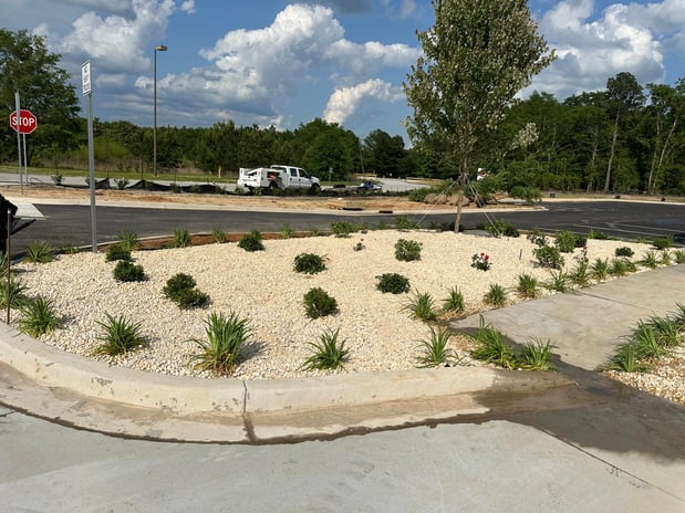 Images Juan Mata Lawn Care Services