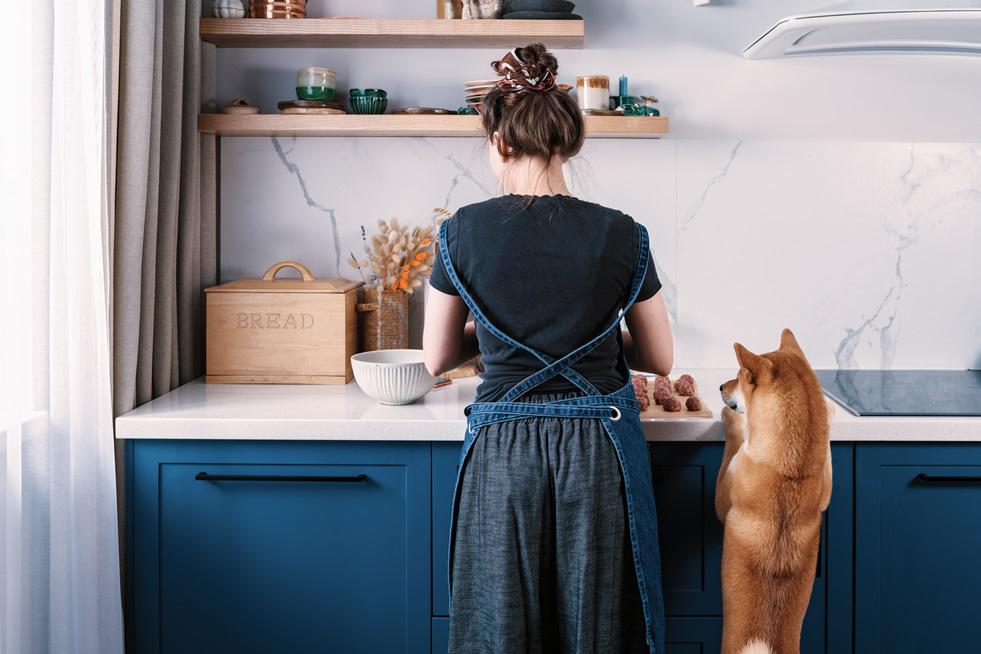 Discover the joy of having a spectacular Kitchen that embraces your furry friends too. From spacious Kitchen Tune-Up Savannah Brunswick Savannah (912)424-8907