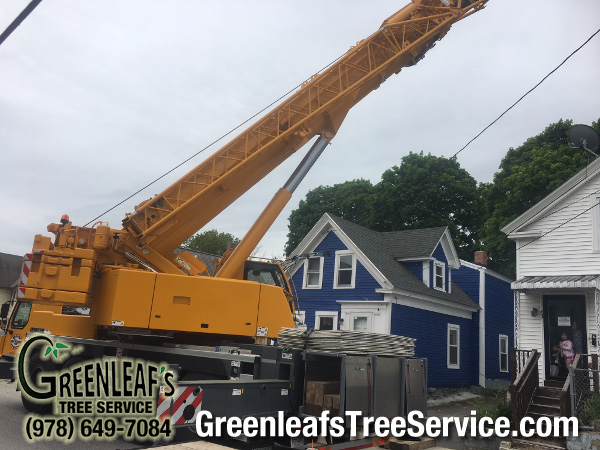 Greenleaf's Tree Service Photo