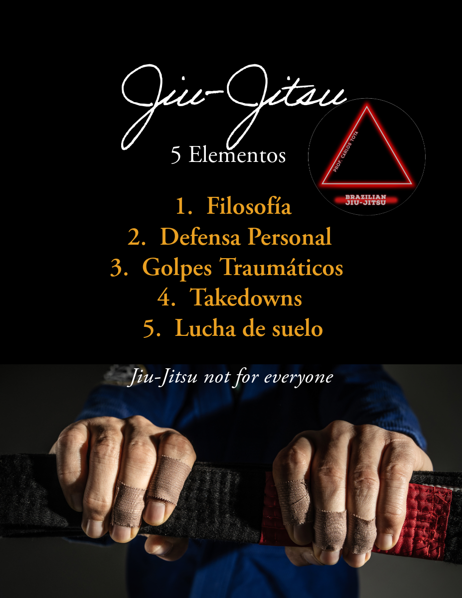 Images BRAZILIAN JIU-JITSU ACADEMY PROF CARLOS TOTA