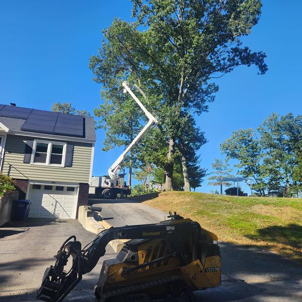 Images Elevation Tree Service