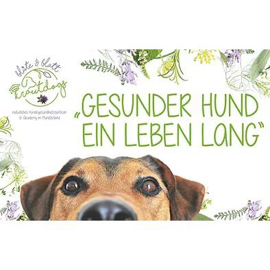 Logo Krautdogs by Blüte & Blatt Hundegesundheitszentrum & Academy