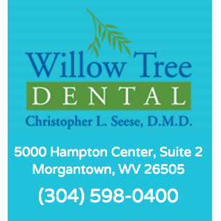 Willow Tree Dental, Christopher Seese, DDS Logo