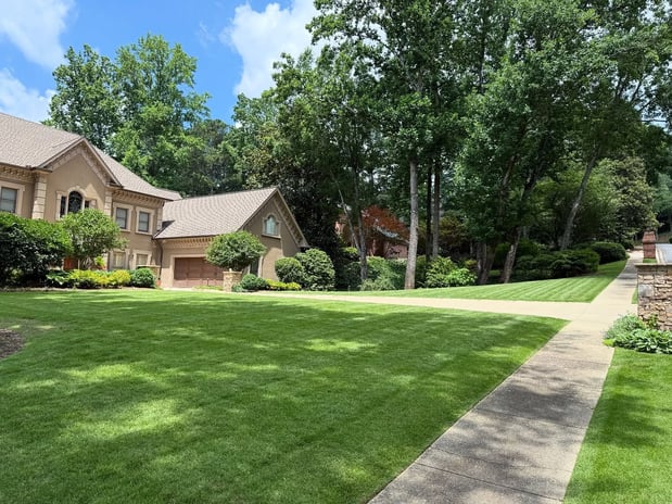 Images Bernardo & Son Landscaping Services