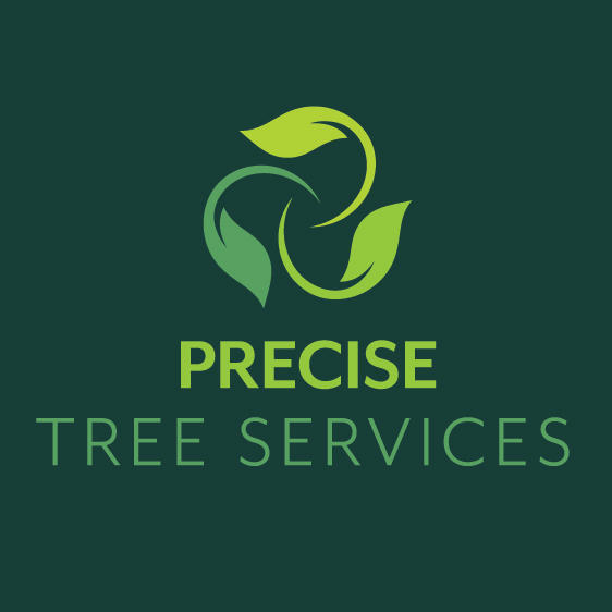 Precise Tree Service Logo