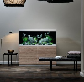 Oase Aquariums