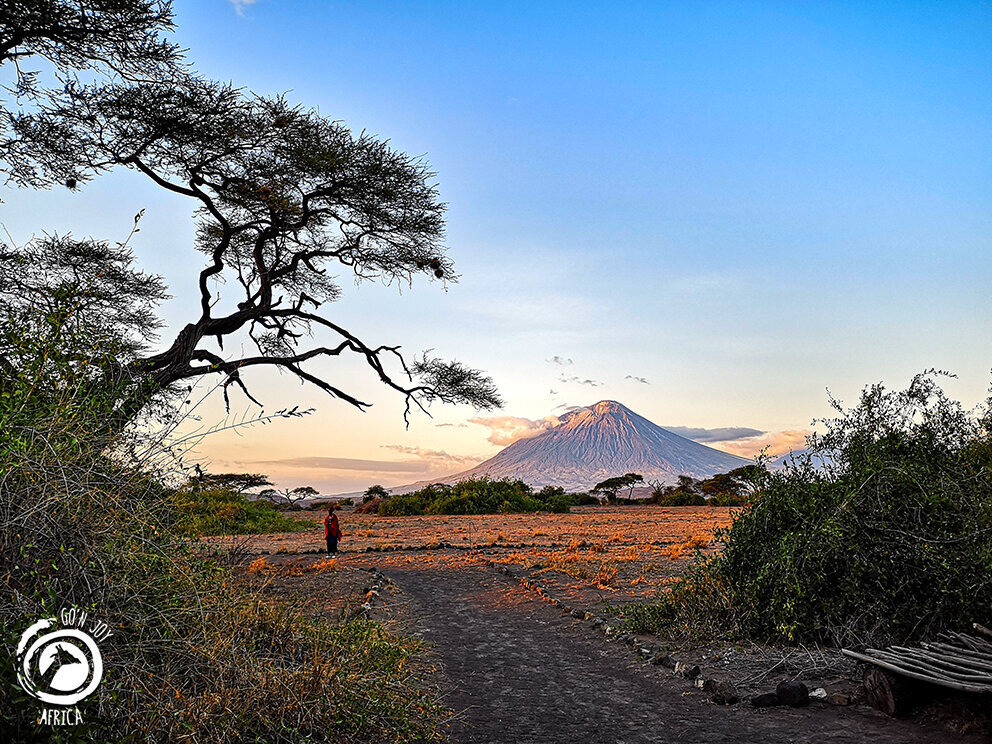 Go n joy Africa, Hönower Straße 35 in Berlin