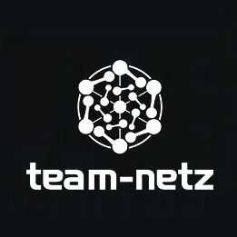 team-netz Consulting Logo