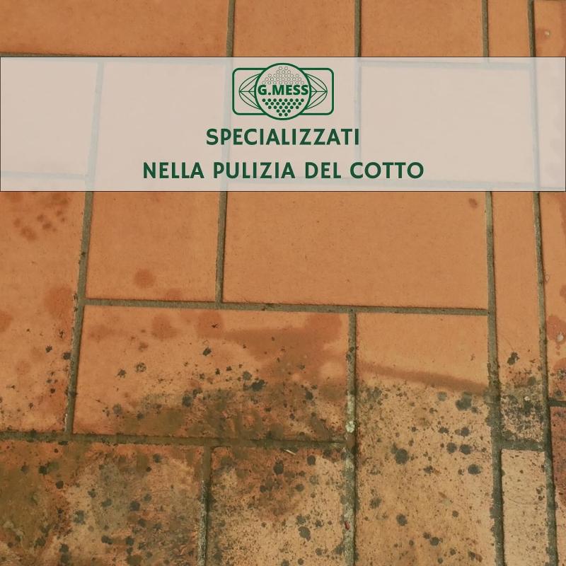 Images G. Mess Impresa di Pulizie e Disinfestazioni