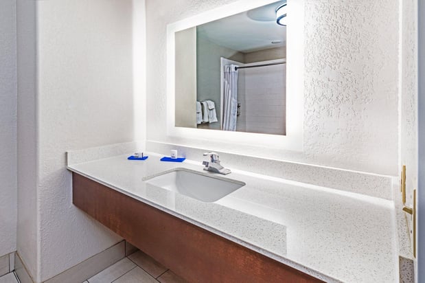 Images Holiday Inn Express & Suites Lafayette-South by IHG