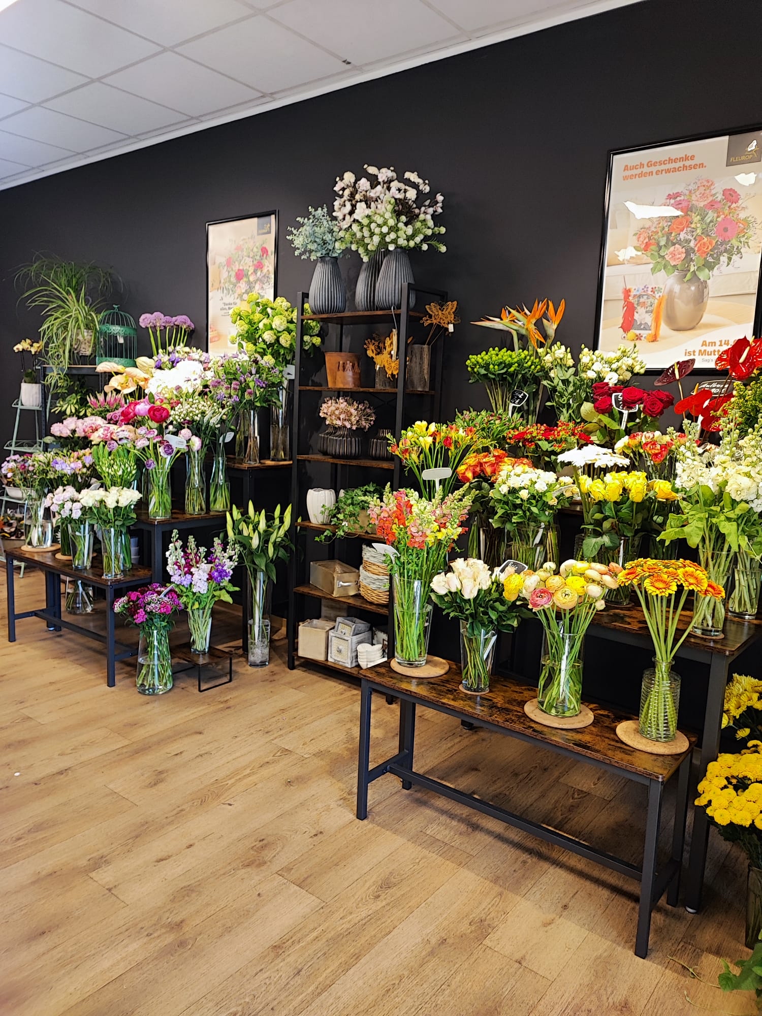 Bilder Blumengeschäft Blütenträume