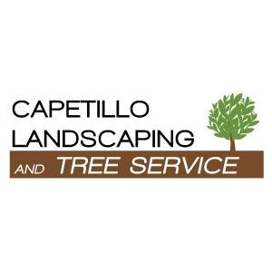 Capetillo Landscaping & Tree Services