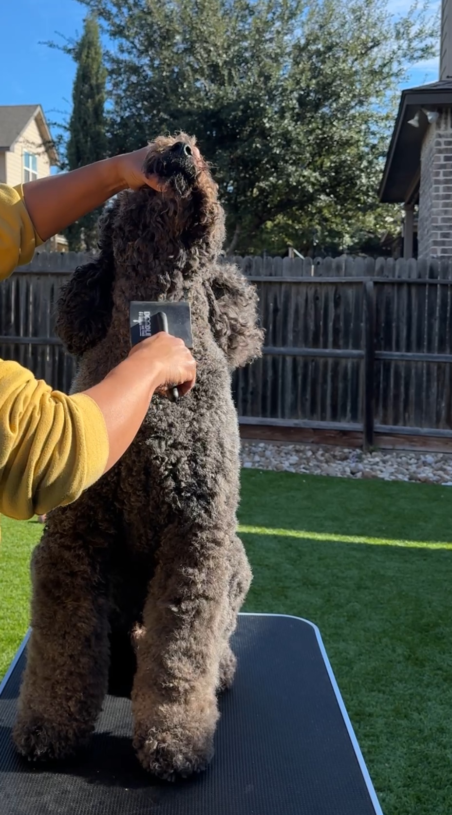 Doodle Me This Kingston and Hamilton LLC Image