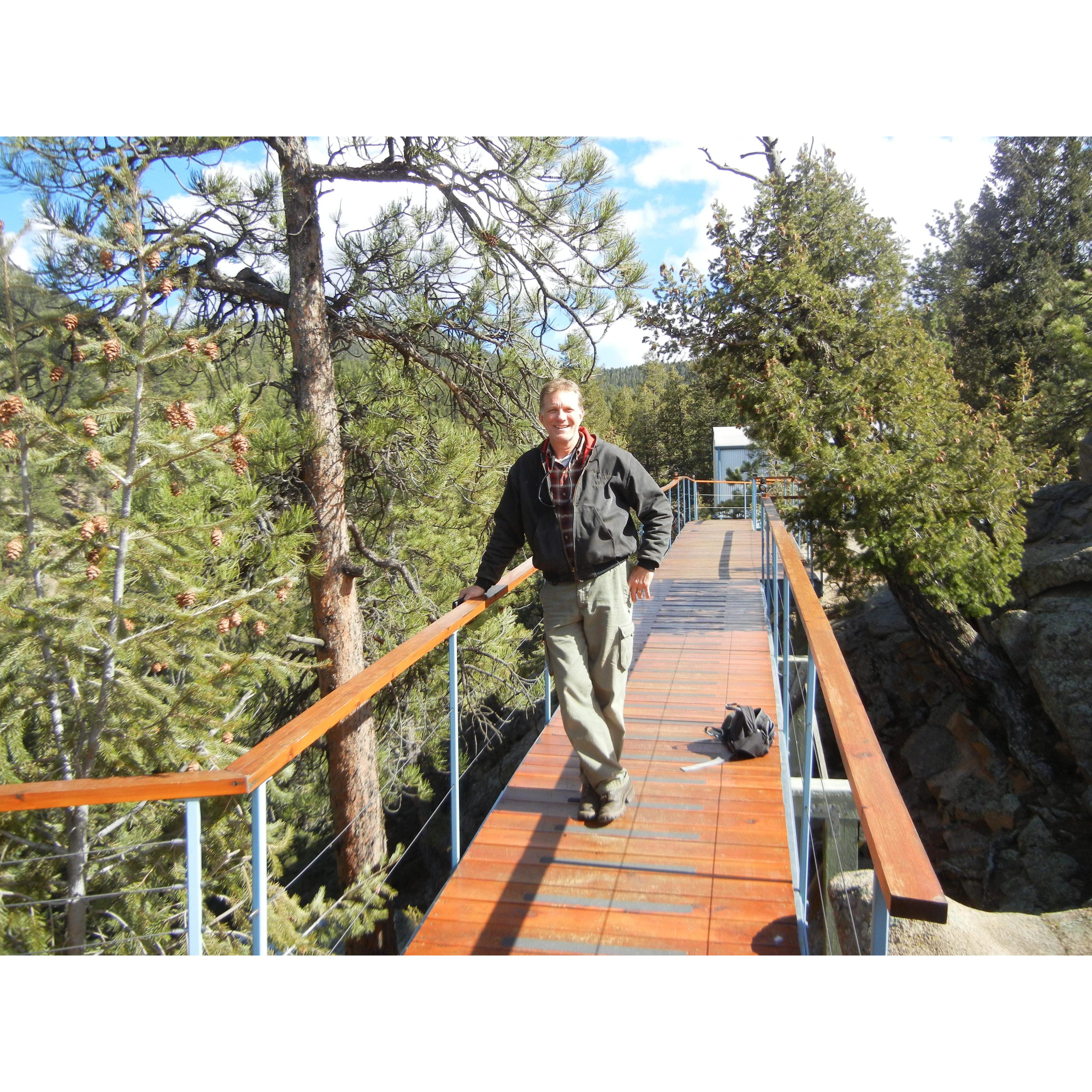 Colorado Tree Arborist