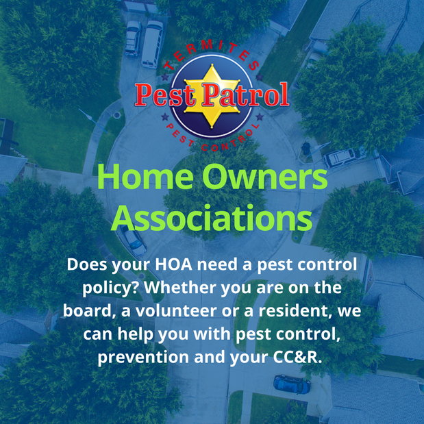 Images Pest Patrol, Inc.