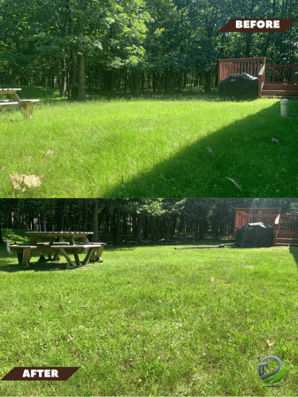 Images Marian's Grass Cutting Services