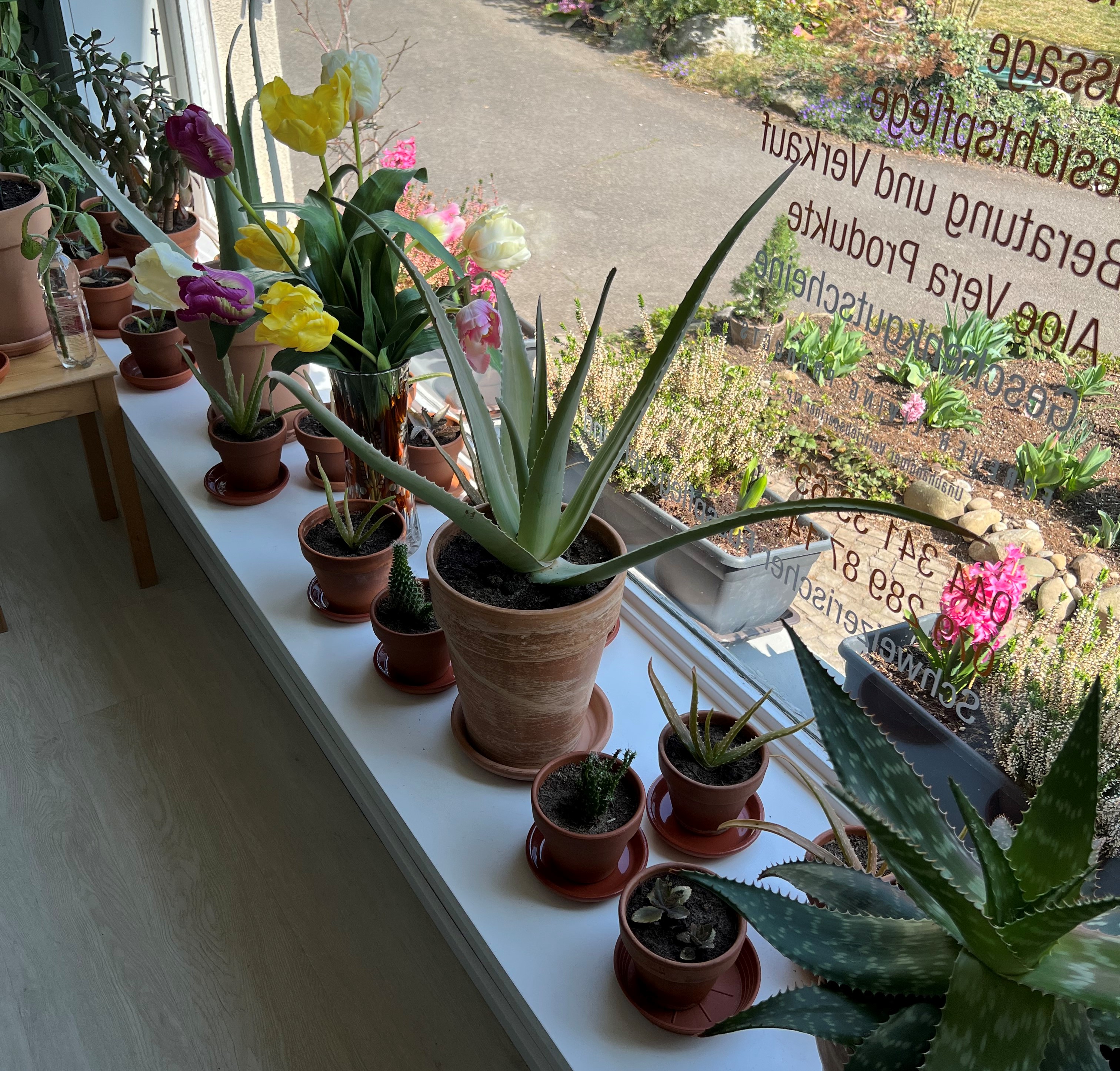 Dipl. Pediküre Ewa Eugster, Wieslergasse 5 in Zürich