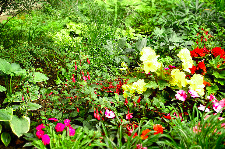 Andreas Wenk Gartenbau & Unterhalt AG, Oberdorfstrasse 57 in Riehen
