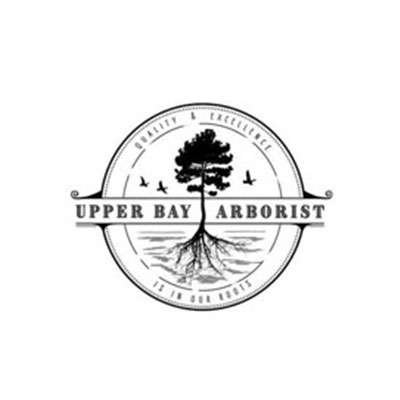 Upper Bay Arborist
