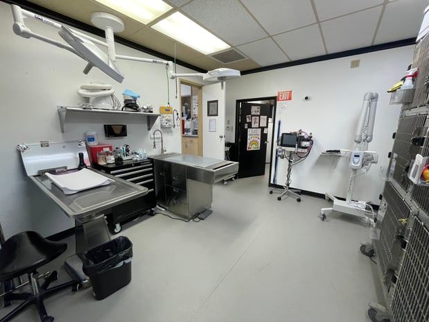 Images VCA Irvine Boulevard Animal Hospital