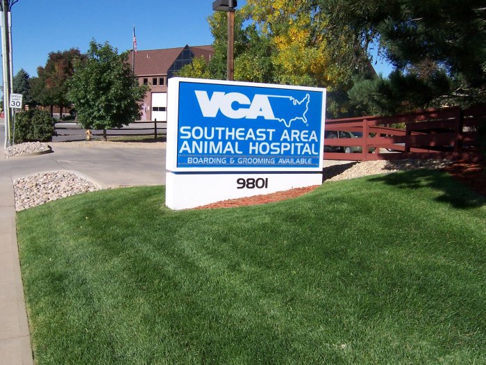 Image 5 | VCA Southeast Area Animal Hospital