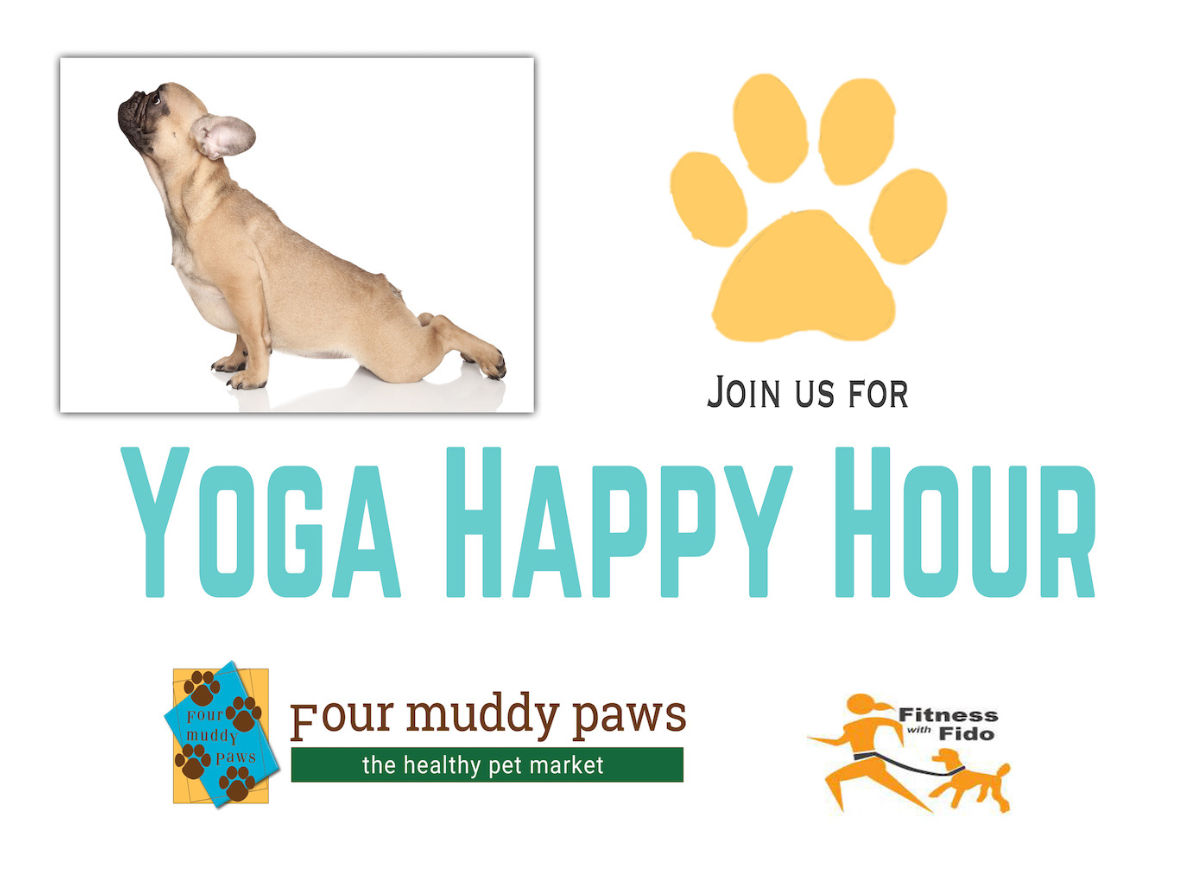 Image Of Local Pet Event Join Us For Doga - Yoga With Dogs On Our Patio 