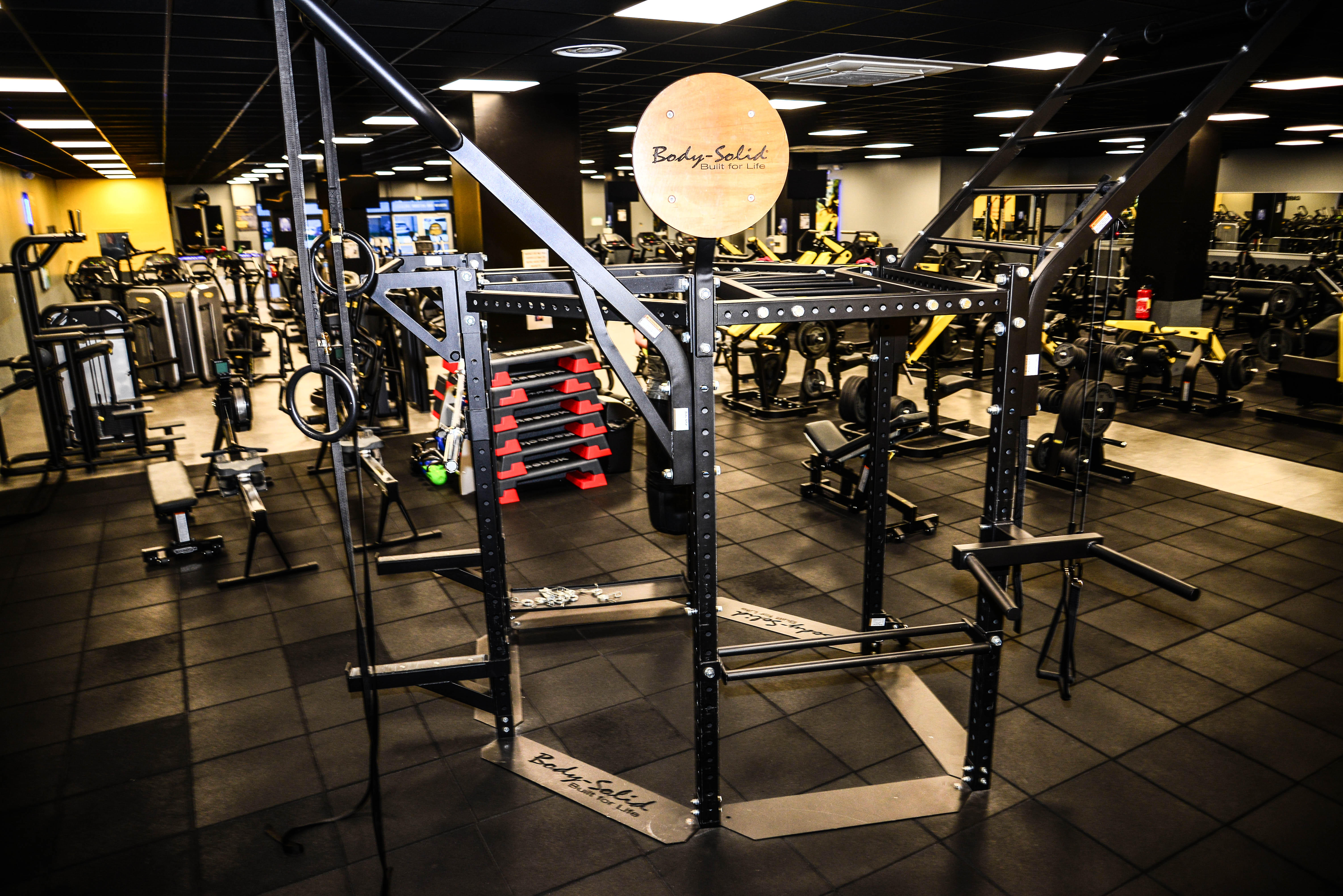 Miniature de la galerie