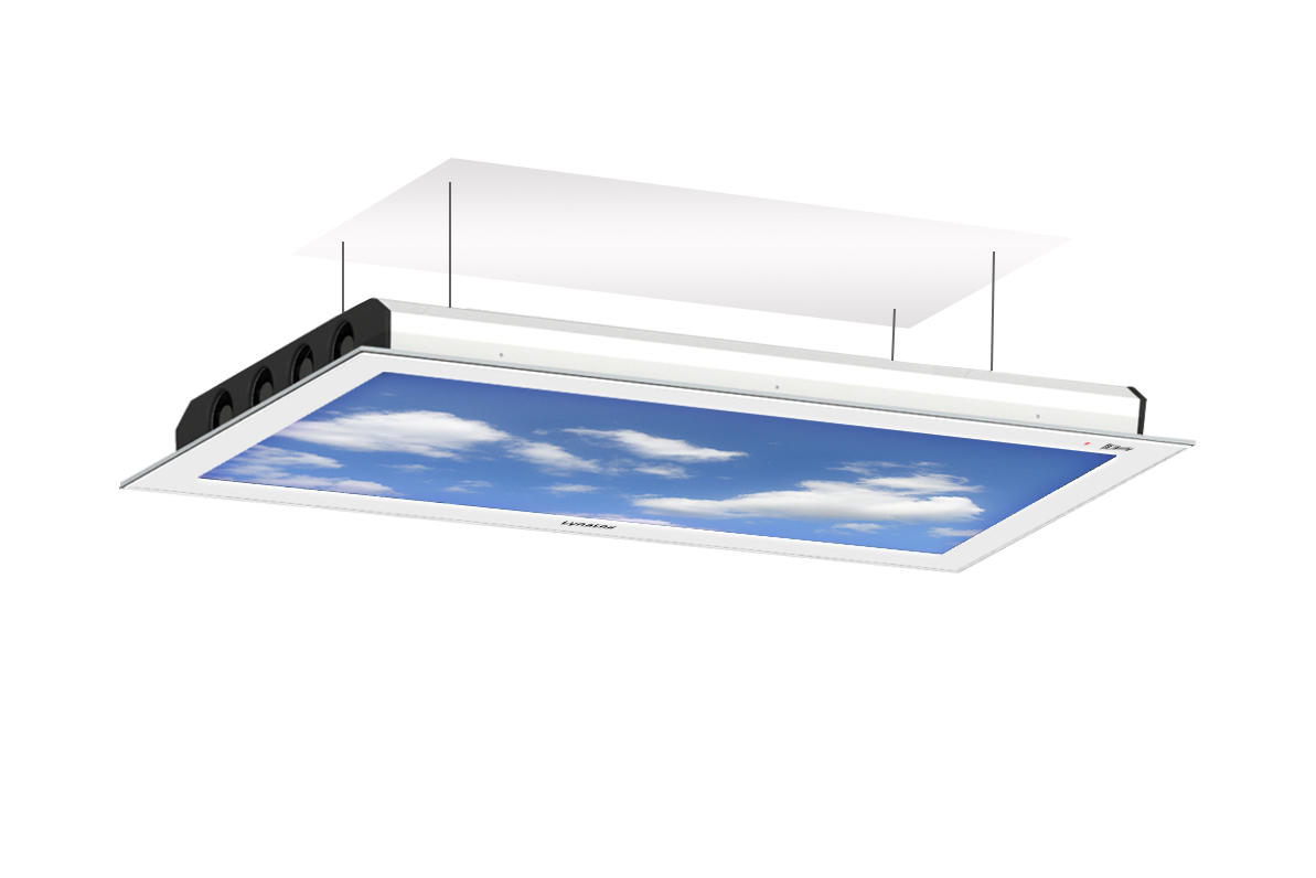 Lynatox GmbH, Ehrenbergstrasse 11 in Ilmenau