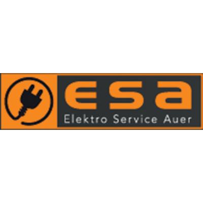 Logo Elektro Service Auer GmbH & Co. KG