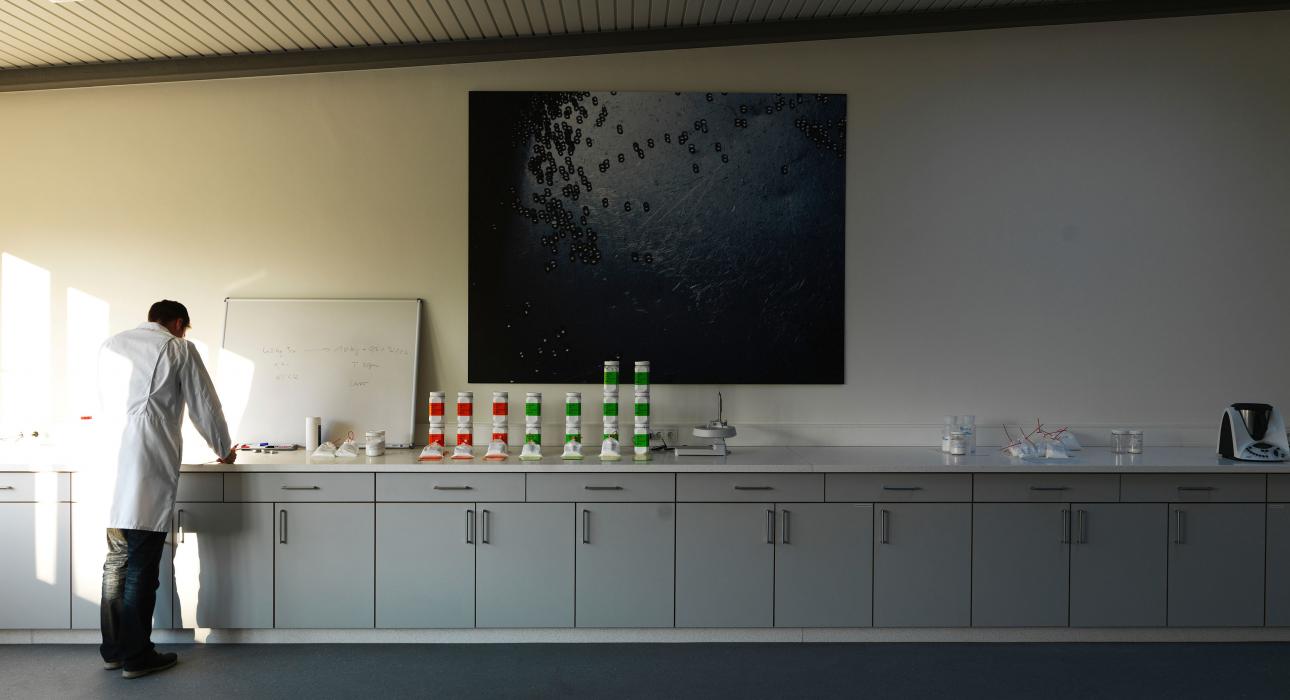 Dressler Group Customer Service GmbH, Am Hambuch 11 in Meckenheim