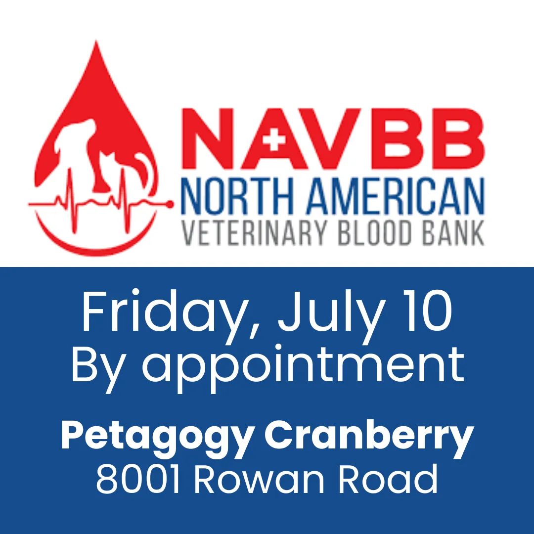 Image of Local Pet Event NAVBB Blood Drive Nearby