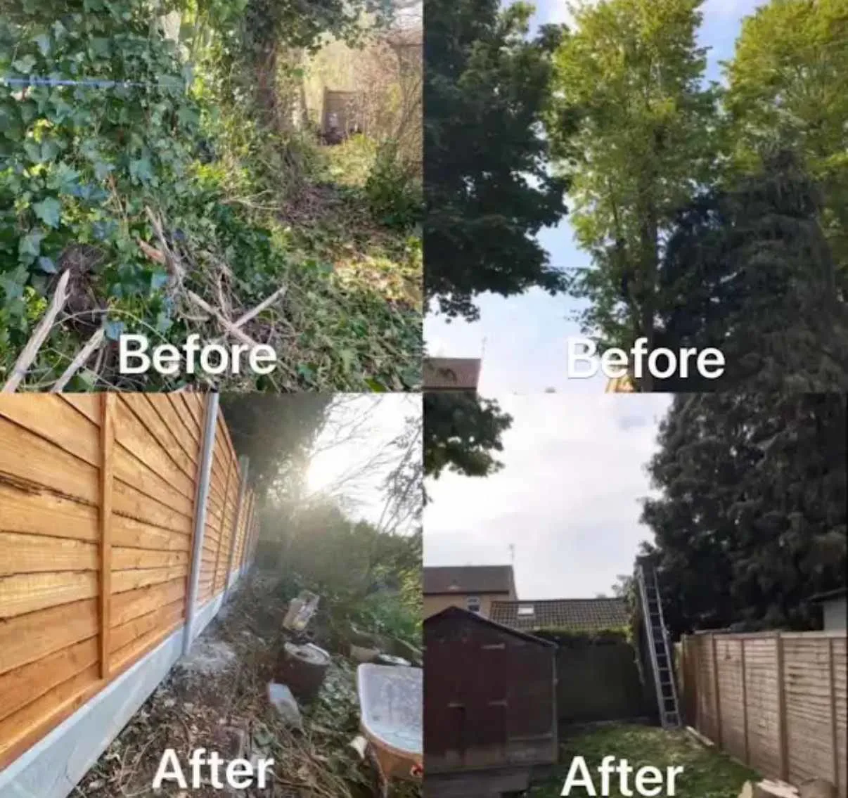 Images Tree Doctors & Landscaping