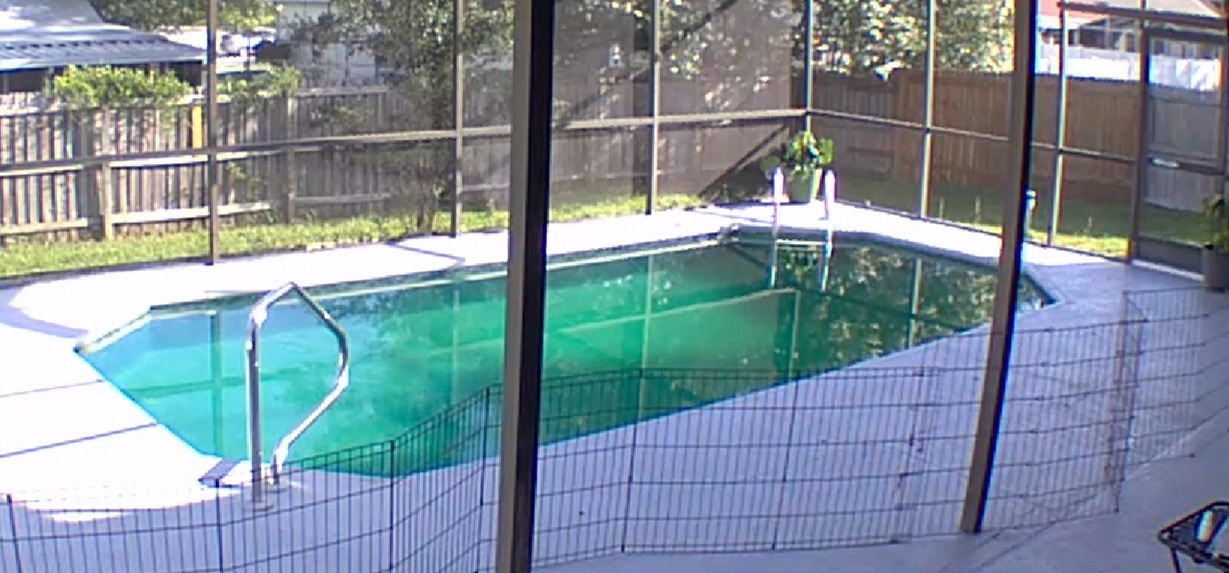 Screen-enclosed residential swimming pool with green-tinted water, brick paver decking, and a safety fence surrounding the pool area.