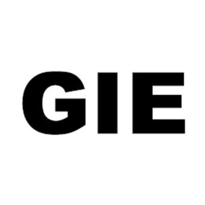 G. I. Electric Co. Inc. Logo